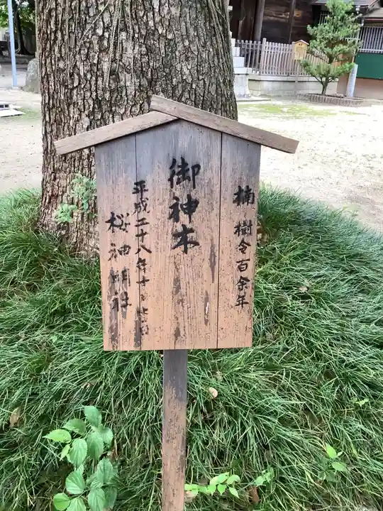 神明社(桜神明社)の芸術