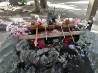 駒形神社の{uncategorized: "未分類", other: "その他", undefined: "問題あり", building: "その他建物", grave: "お墓", sacred_gate: "鳥居", guardian: "狛犬", statue: "像", buddha: "仏像", history: "歴史", nature: "自然", garden: "庭園", animal: "動物", pagoda: "塔", temizu: "手水舎", mountain_gate: "山門・神門", sanctuary: "本殿・本堂", subordinate: "末社・摂社", art: "芸術", scenery: "景色", jizo: "地蔵", ema: "絵馬", goshuin: "御朱印", omikuji: "おみくじ", items: "授与品その他", amulet: "お守り", goshuincho: "御朱印帳", eats: "食事", festival: "お祭り", votive_dance: "神楽", shichigosan: "七五三参", wedding: "結婚式", experience: "体験その他", initially: "初詣", around: "周辺", anti_infection: "感染症対策"}