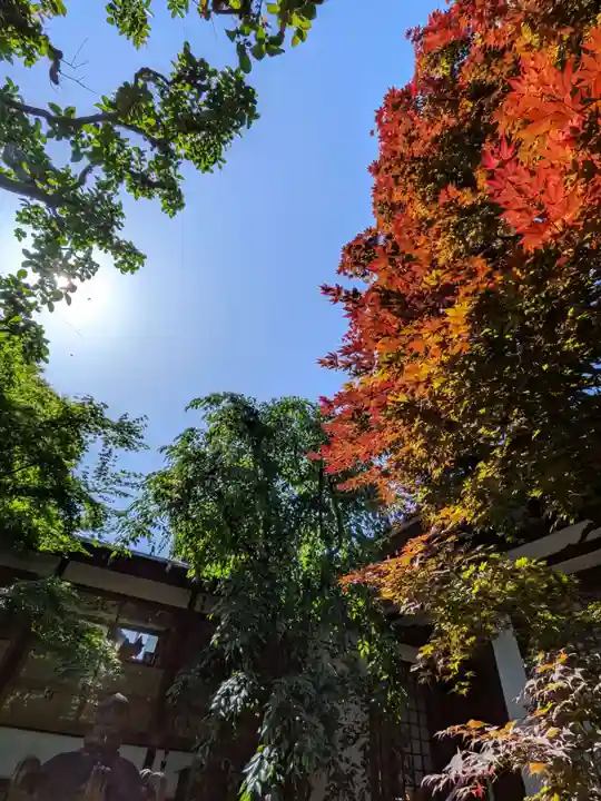 行慶寺(東京都)