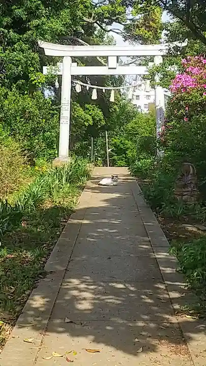 井野天満神社(茨城県)