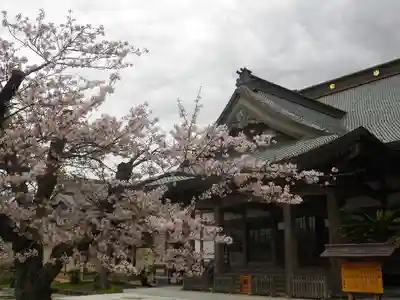 光明寺の本殿・本堂