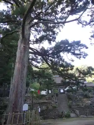 天恩寺(愛知県)