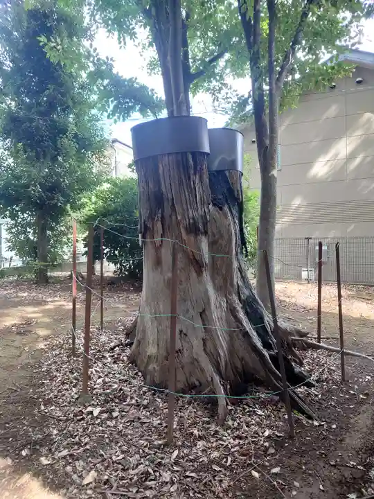 藤間諏訪神社(埼玉県)