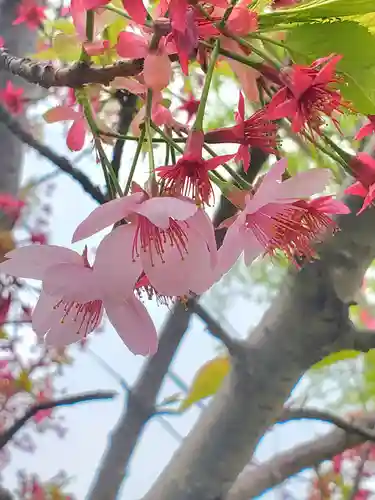 阿邪訶根神社(福島県)
