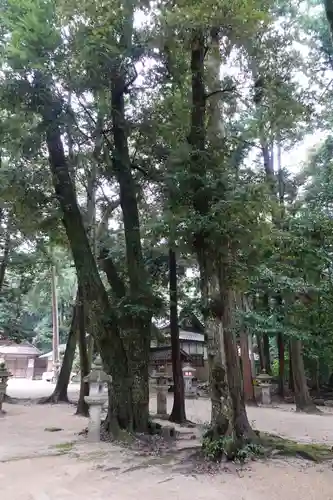 比良天満宮・樹下神社の建物その他