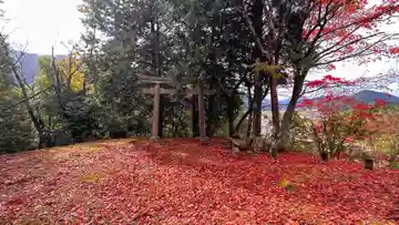 金比羅神社(京都府)