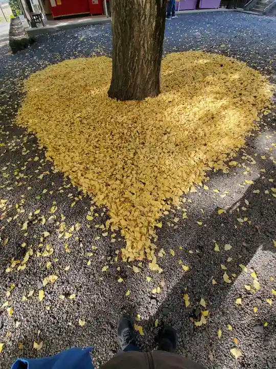 下野 星宮神社のその他建物