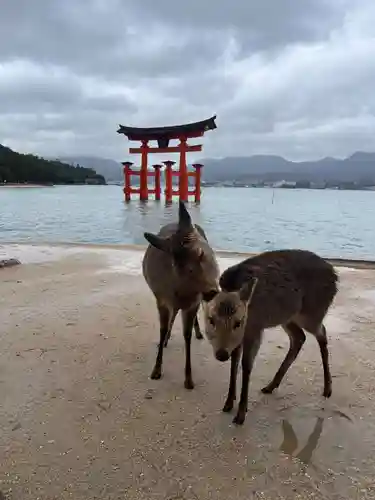 厳島神社(広島県)