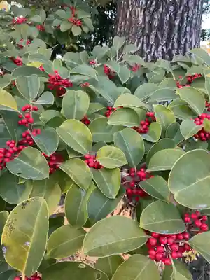 甚目寺(愛知県)