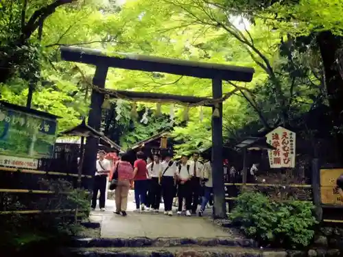 野宮神社の鳥居