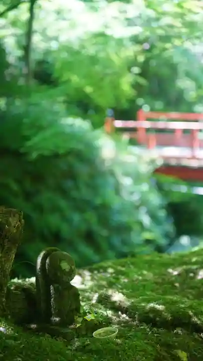 三千院門跡(京都府)
