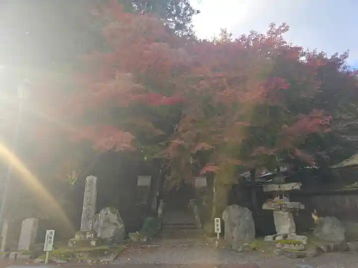 西教寺(滋賀県)