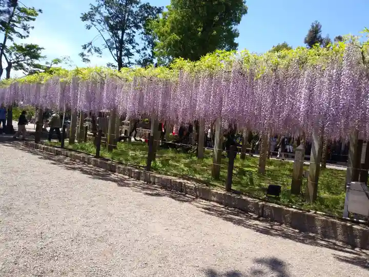 三大神社の自然