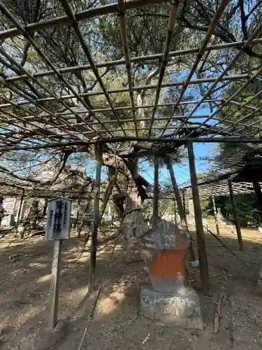 鏡忍寺の{uncategorized: "未分類", other: "その他", undefined: "問題あり", building: "その他建物", grave: "お墓", sacred_gate: "鳥居", guardian: "狛犬", statue: "像", buddha: "仏像", history: "歴史", nature: "自然", garden: "庭園", animal: "動物", pagoda: "塔", temizu: "手水舎", mountain_gate: "山門・神門", sanctuary: "本殿・本堂", subordinate: "末社・摂社", art: "芸術", scenery: "景色", jizo: "地蔵", ema: "絵馬", goshuin: "御朱印", omikuji: "おみくじ", items: "授与品その他", amulet: "お守り", goshuincho: "御朱印帳", eats: "食事", festival: "お祭り", votive_dance: "神楽", shichigosan: "七五三参", wedding: "結婚式", experience: "体験その他", initially: "初詣", around: "周辺", anti_infection: "感染症対策"}