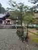 相馬妙見宮 大上川神社の{uncategorized: "未分類", other: "その他", undefined: "問題あり", building: "その他建物", grave: "お墓", sacred_gate: "鳥居", guardian: "狛犬", statue: "像", buddha: "仏像", history: "歴史", nature: "自然", garden: "庭園", animal: "動物", pagoda: "塔", temizu: "手水舎", mountain_gate: "山門・神門", sanctuary: "本殿・本堂", subordinate: "末社・摂社", art: "芸術", scenery: "景色", jizo: "地蔵", ema: "絵馬", goshuin: "御朱印", omikuji: "おみくじ", items: "授与品その他", amulet: "お守り", goshuincho: "御朱印帳", eats: "食事", festival: "お祭り", votive_dance: "神楽", shichigosan: "七五三参", wedding: "結婚式", experience: "体験その他", initially: "初詣", around: "周辺", anti_infection: "感染症対策"}