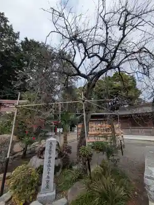 亀ケ池八幡宮(神奈川県)