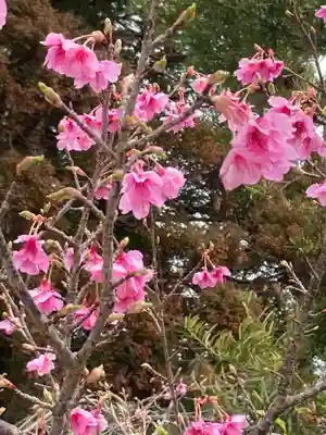 榎原神社の自然