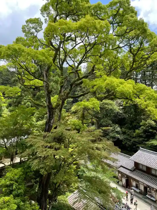 圓教寺(兵庫県)