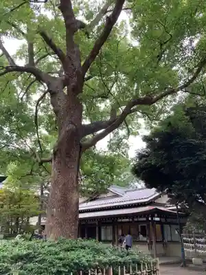 王子神社のその他建物