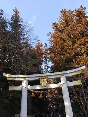 宝登山神社(埼玉県)