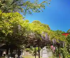 藤島神社（贈正一位新田義貞公之大宮）の自然