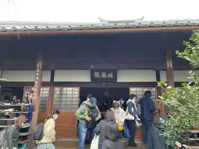 地蔵院（椿寺）(京都府)