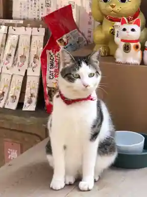 お松大権現の動物