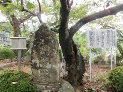 龍光院(愛媛県)