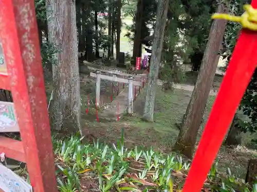 大宮温泉神社(栃木県)