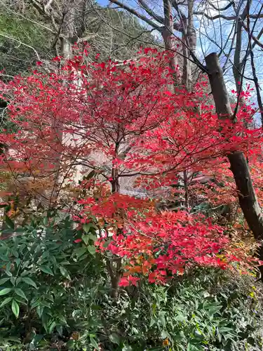 山手阿弥陀堂(福岡県)
