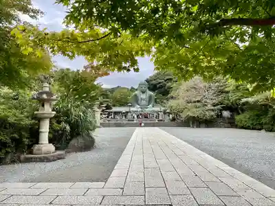 高徳院(神奈川県)