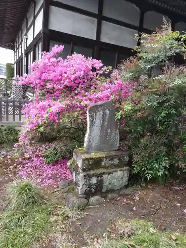 西勝院の庭園