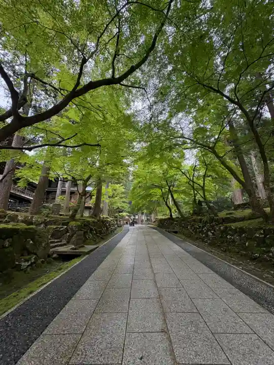 永平寺(福井県)