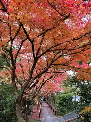 光悦寺(京都府)