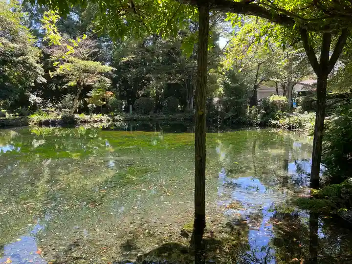 富士山本宮浅間大社(静岡県)