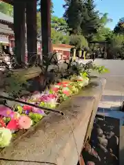 大前神社の手水