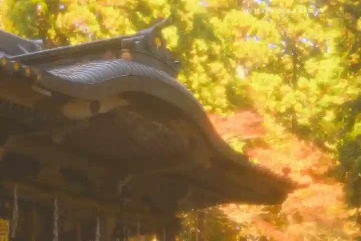 最乗寺(道了尊)(神奈川県)