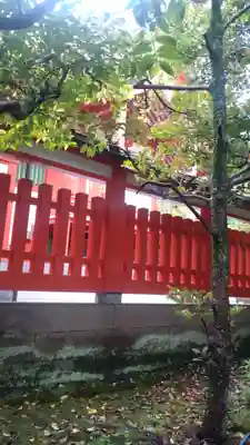 東伏見稲荷神社(東京都)