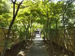 龍峰院(神奈川県)