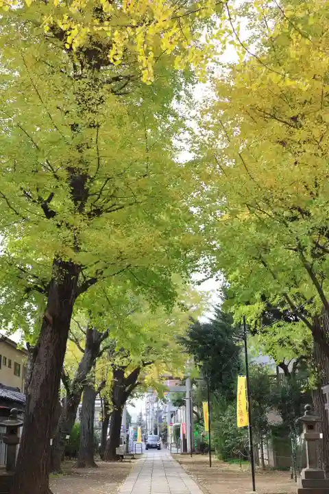 駒込天祖神社(東京都)