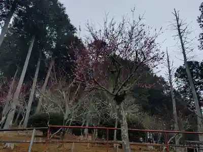 石山寺(滋賀県)