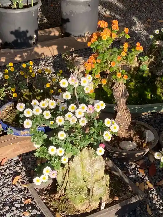 旭鎮守八幡神社(神奈川県)