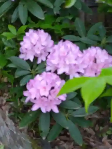 三聖神社(滋賀県)