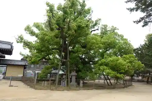 善通寺(香川県)
