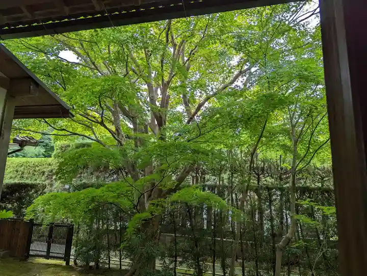 源光庵(京都府)