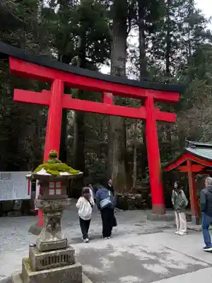 箱根神社の鳥居