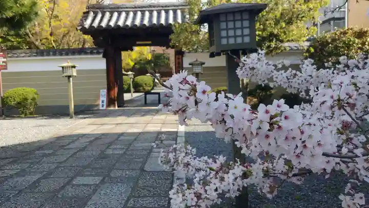 大報恩寺(千本釈迦堂)の山門・神門