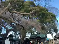 三島八幡神社の庭園