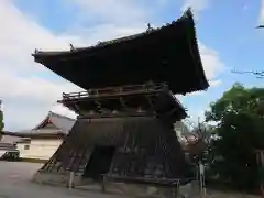 大樹寺（松安院大樹寺）の建物その他