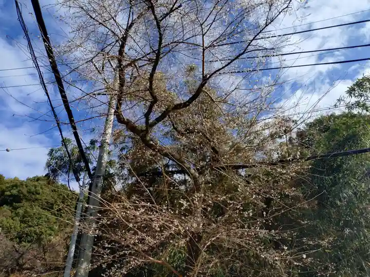 祝峰寺(愛知県)